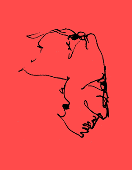 Asche-Aigner